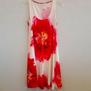 Summer Dress/ BBQ Dress
